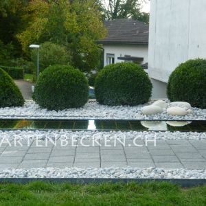 Gartenbecken 005